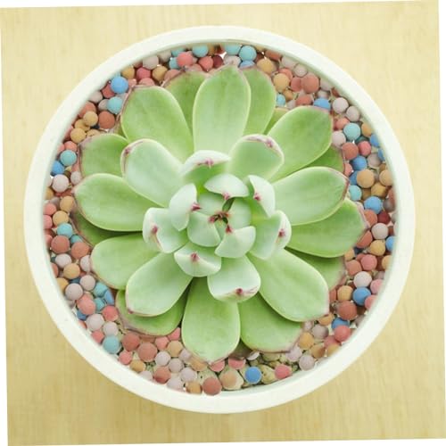 Ceramsite Gardening Decor Hydro Ceramsite Balls for Succulent Cactus Surface Decoration Air Permeable Horticultural Rocks for Use