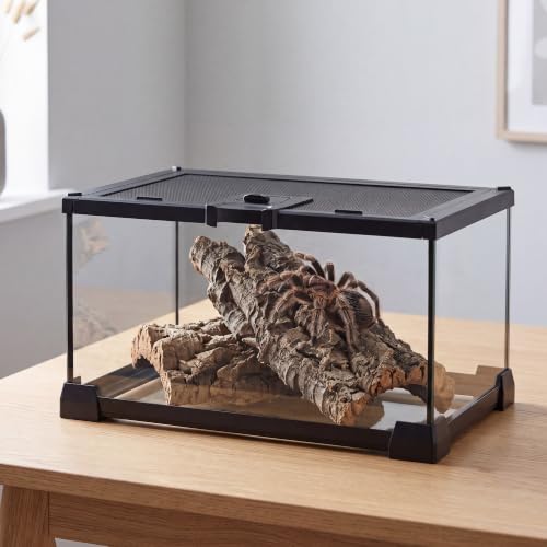 12" x 8" x 6" Small Glass Reptile Terrarium Tank | Top-Opening Mesh Lid with Latch, Fully Assembled Enclosure for Tarantulas, Frog, Isopods and Small Reptiles - size: 12" x 8" x 6"