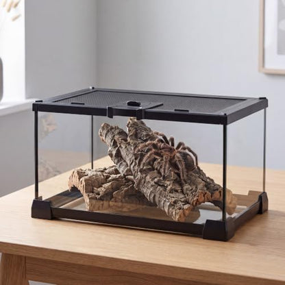 12" x 8" x 6" Small Glass Reptile Terrarium Tank | Top-Opening Mesh Lid with Latch, Fully Assembled Enclosure for Tarantulas, Frog, Isopods and Small Reptiles - size: 12" x 8" x 6"