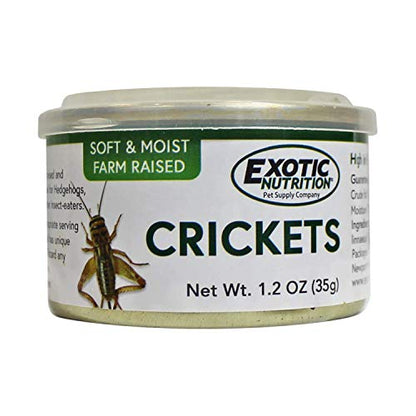 Canned Crickets (1.2 oz.) - Healthy High Protein Insect Treat - Hedgehogs, Sugar Gliders, Reptiles, Wild Birds, Chickens, Lizards, Bearded Dragons, Skunks, Opossums, Fish, Amphibians, Turtles
