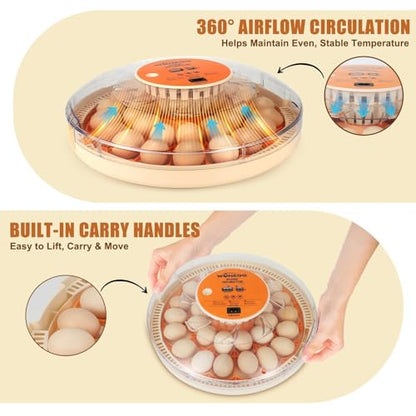Nest II - 30 Egg Incubator for Large-Batch Hatchers, Hands-On Control, Auto Egg Turning, Manual Water Fill, Consistent Temp, Real-Time Display, Candler for Chicken, Goose, Duck, Quail, Pigeon, Turkey - size: 30 Egg [Orange]