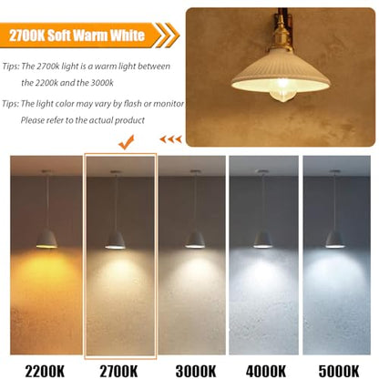 winsaLED LED Light Bulb 40 Watt Equivalent, 2700K 4W ST19, Non-Dim, 12 Pack | Soft Warm White LED Edison Bulbs, 450LM, E26 Medium Base, High CRI 90+ - color: 2700k-soft White