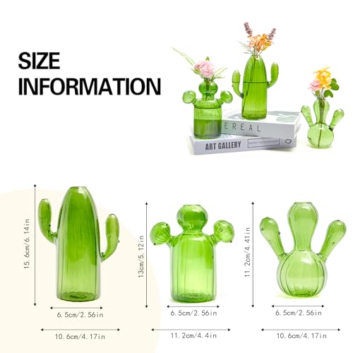 XXXFLOWER Cactus Plant Propagation Station 3 Cactus Vase Terrarium Jars | Desk Plant Cuttings Plant Holders Unique Glass Flower Vase for Hydroponics Plants for Plant Lovers Home Garden Decor - size: 3PCS Cactus Vase