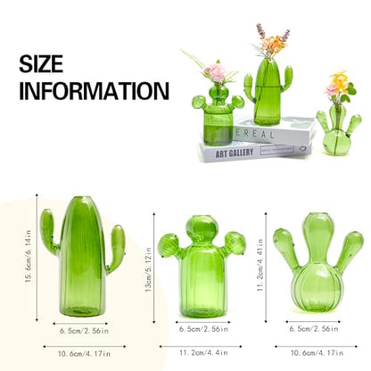 XXXFLOWER Cactus Plant Propagation Station 3 Cactus Vase Terrarium Jars | Desk Plant Cuttings Plant Holders Unique Glass Flower Vase for Hydroponics Plants for Plant Lovers Home Garden Decor - size: 3PCS Cactus Vase