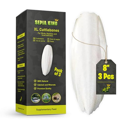 Sepia King - Extra Large - 100% Natural Calcium Supplement - Premium Cuttlebone Perfect for Birds, Tortoises, Snails, Reptiles - Pack of 3
