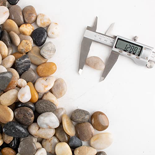 Pebbles for Plants 7 lb Natural River Rocks for Garden Outdoor Aquariums Gravel 1-1.5 Inches - size: 7LB, style: Colour