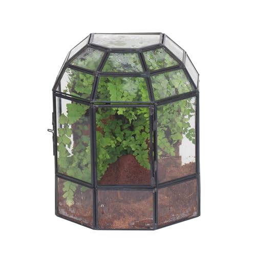 NCYP Half Dome Geometric Glass Terrarium with Door, Closed Moss Planter Pot, Miniature Landscape Container, Indoor Tabletop Decor, Black (Terrarim Only)