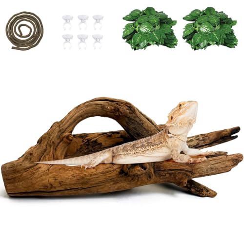 Hamiledyi Reptile Wood Branches 11.8" Length Snake Climbing Branch Lizard Habitat Natural Wood Decoration Bearded Dragon Climbing Accessories for Leapord Gecko