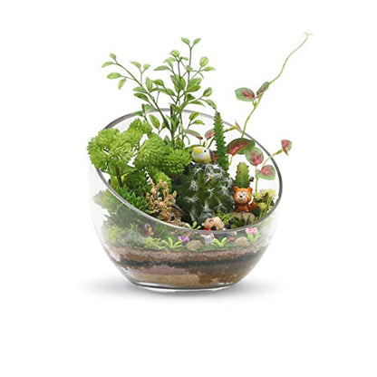 WGVI Clear Slant Cut Bowl Glass Vase, Glass Terrarium, Candy Dish, Glassware, Slant Cut, 7" Width, 6" Height (1 Piece) - size: Slant Bowl 6"H