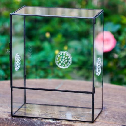 NCYP Glass Terrarium with Front Opening Door and 3 Vents for Insects, Snail, Spider, Glass Enclosure - 8"x4.5"x10" Clear Closed Plant Greenhouse Box (Terrarium Only)
