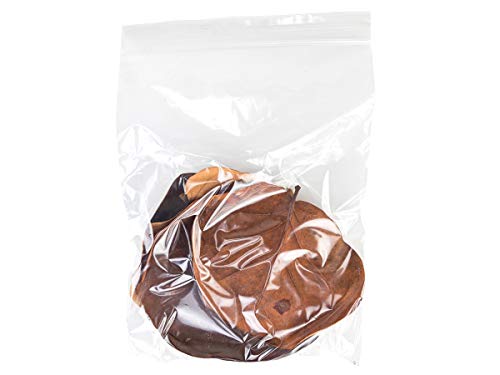 Josh's Frogs Organic Sea Grape Leaf Litter USA Collected (5 Leaves)