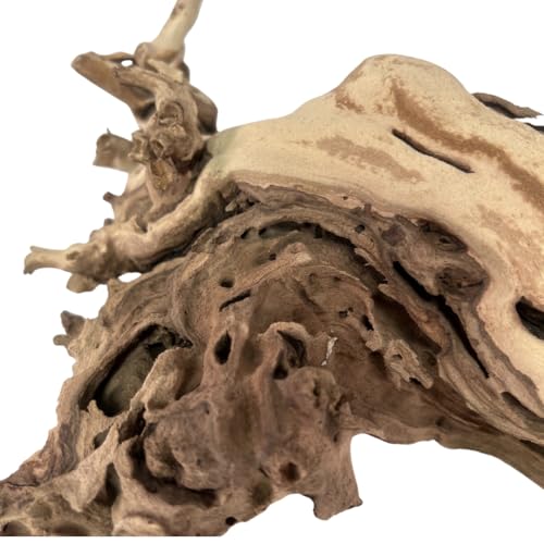 Koyal Wholesale 12" Sandblasted Grapevine Wood for Hamsters, Reptiles Terrarium, Exotic Untreated Grapewood Branch for Decoration Home Wedding DIY - size: 12" Grapevine