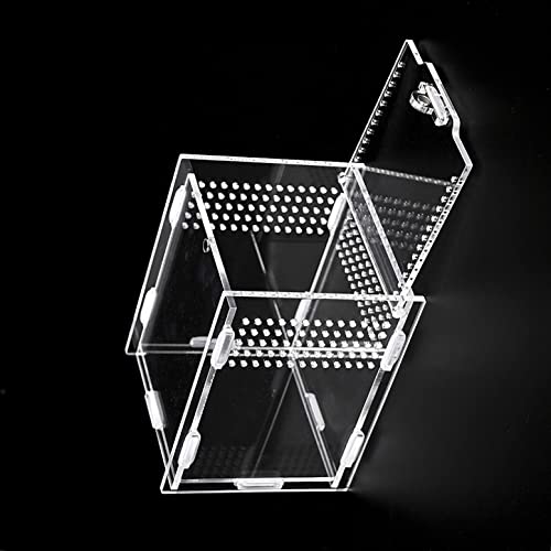 AWXZOM Magnetic Acrylic Case, micro habitat small Tarantula Enclosure enclosure for arboreal Tarantula Scorpion Sling Lizards Mantis Snake Gecko jumping spider snail Insect Isopods (4.7*4.7*7.8 inch) - size: 4.7*4.7*7.8 inch