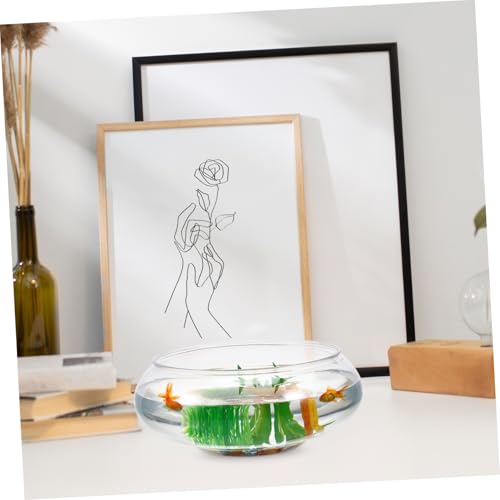 POPETPOP 2pcs Transparent Plastic Fish Bowl Aquarium Desktop Tank for Goldfish Turtles Small Reptiles Home Office Decor Unbreakable Breeding Container