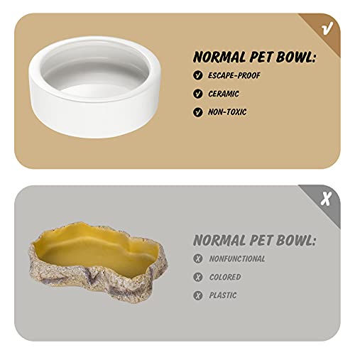 Reptile Food Dish Bowl 2Pcs Lizard Gecko Worm Water Bowls Small (2.75in) | Anti-escape Ceramic Mealworms Bowls for Leopard Bearded Dragon Chameleon Hermit Crab Dubia Cricket Feeding, Superworm Feeder