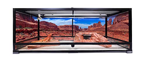 Reptile Carpet, Sandstone 24" x 48", Two Sheets - color: Sandstone, size: 24" x 48"