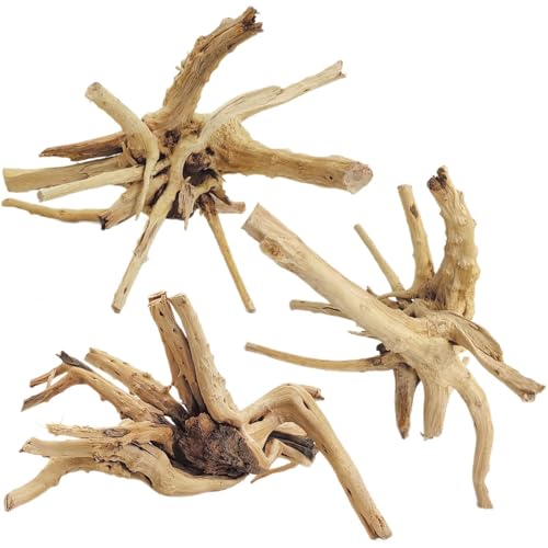 Tfwadmx Aquarium Driftwood, 7-11" Spider Wood Sinkable Driftwood for Fish Tank Decorations Natural Branches for Reptile, Assorted Spider Wood Branch Pack of 3 - size: Spiderwood（7-11 inch pack of 3）