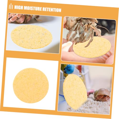 20pcs Humidity Maintaining Crab Tank Sponges Unbleached Sea Sponge for Water Dish Durable Moisture Retention Promoting Healthy Growth Pet Crab Habitats