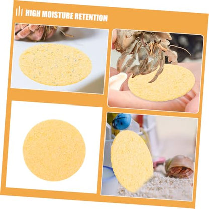 20pcs Humidity Maintaining Crab Tank Sponges Unbleached Sea Sponge for Water Dish Durable Moisture Retention Promoting Healthy Growth Pet Crab Habitats