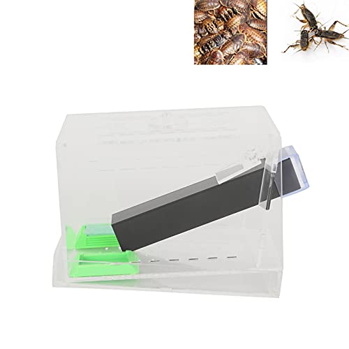 Acrylic Feeding Cricket, Pen with Tubes Cockroach Cricket Keeper Small Crickets Keepers Care Kit Reptile Boxl (S, 50X50X20Cm / 19.7X19.7X7.9In)