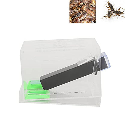Acrylic Feeding Cricket, Pen with Tubes Cockroach Cricket Keeper Small Crickets Keepers Care Kit Reptile Boxl (S, 50X50X20Cm / 19.7X19.7X7.9In)