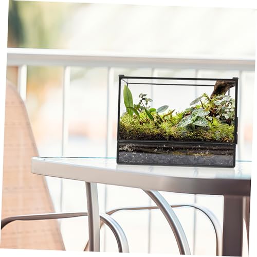 POPETPOP Geometric Glass Ecosystem Terrarium for Mini Rainforest Display Small Moss Planter Box Lid DIY Desktop Micro Landscape Holder
