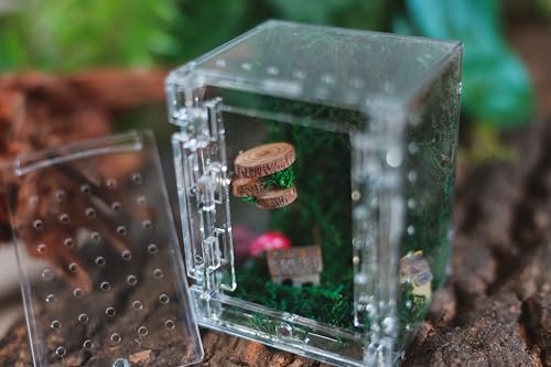 Acrylic Jumping Spider Enclosure -Clear Reptile Habitat Box for Tarantula, Mantis, Insects, Snail, Frog, Caterpillar – Ventilated Mini Terrarium Display Case with Lock Lid & Feeding Port