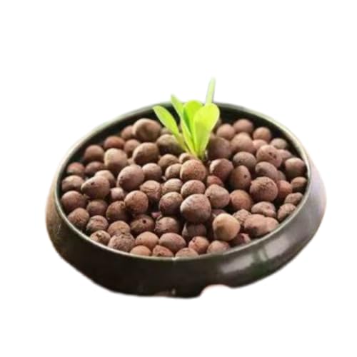 Hydroponics Clay Pebbles Lightweight Ceramsite Water Retention Porous Balls - color: 1 lb, size: Small (5-10mm)
