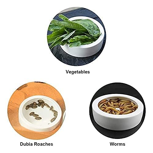 Reptiles Bowl Ceramics Dish 3.9 x 1 inch Round Feeder Anti-Escape Dubia Roach Breadworm Plate with Deep Edge for Lizard Gecko Tortoise (M)