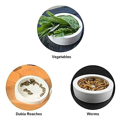 Reptiles Bowl Ceramics Dish 3.9 x 1 inch Round Feeder Anti-Escape Dubia Roach Breadworm Plate with Deep Edge for Lizard Gecko Tortoise (M)