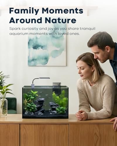 5 Gallon Small Aquarium Set Glass Fish Tank 6 Gallon, Starter Kit with Heater Water Pump Cleaning System Filter Bright Light Rocks Gravel Cleaning Tool, Clear Rimless Betta Plants - size: 5 Gallon