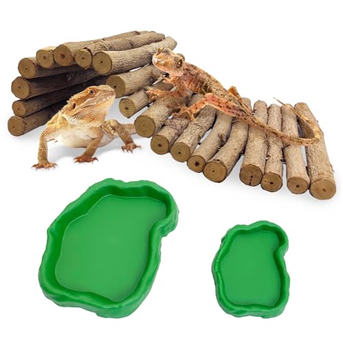 Hamiledyi 11.8" L x 6.7" W Wooden Reptile Bridge Ladder, Climbing Toy, Natural Hideout Tunnel Ramp, with Reptile Food Water Bowl for Lizards Gecko Spiders Snakes Tortoise - size: 11.8 x 6.7 inches
