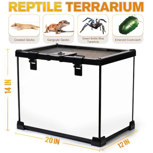 20"x12"x14" Reptile Terrarium, Escape-Proof Glass Arboreal Vivarium for Small Arboreal Reptiles Such as Crested Geckos, with Escape-Proof Lock & Feeding Hatch - size: 20"D x 12"W x 14"H