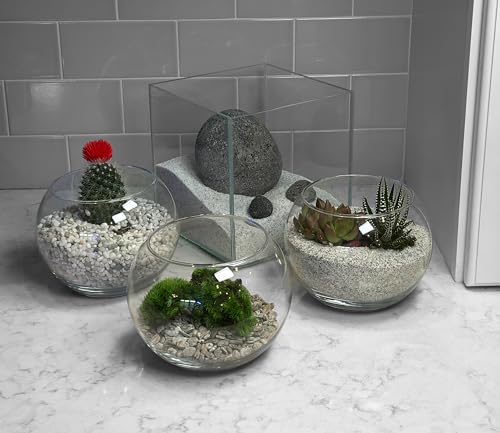 Aqua Natural Iwagumi Pebble Substrate, Silver, 7.7lb | Ultra Premium, For Aquascaping, For Aquariums, For Vivariums and Terrariums