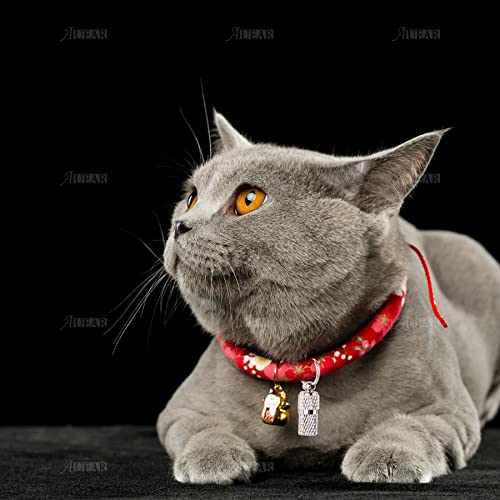 AUEAR, 10 Pack Pet ID Tags Name Address Cell Phone Number Stainless Steel Personalized Dog Cat Small Animal Barrel Tube Anti-Lost