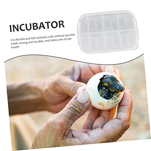 BESPORTBLE 1pack Reptile Breeding Box for Hatching Lizard Eggs Lightweight and Incubator for Geckos Snakes and Reptiles Easy to Use and Store