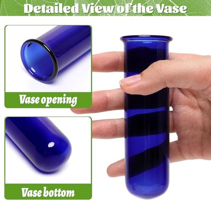 Glass Plant Propagation Station with 5 Test Tubes Colorful Planter Vase | Birthday Gifts for Women in Wooden Stand - color: Blue
