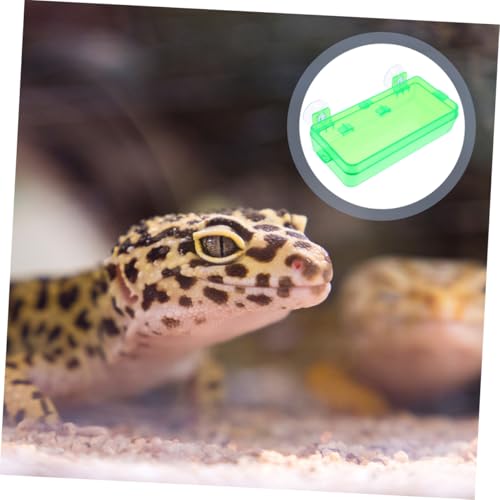 Abaodam Escape Prevention Reptile Feeder Bowl Multi-Function Food and Water Bowl Gecko Tank Accessory Chameleon and Bearded Dragon Feeder Easy to Clean and Detachable Design - color: Light Green, size: 9.00X6.00X3.50CM