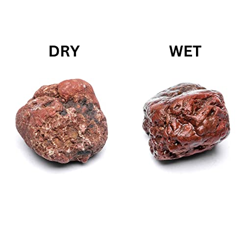 Natural Stone for Aquarium, Terrarium, Paludarium, Reptile Enclosures - Set of Decorative Rocks for Landcapes, Aquascaping, Fish Tank Decor (Blood Stone, 5 Pounds)