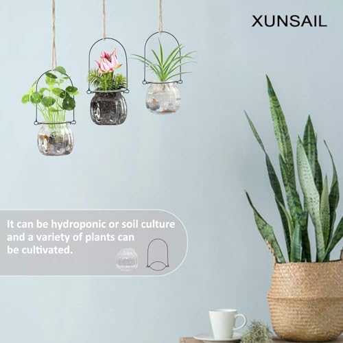 XUNSAIL Terrarium Plants Glass Air Plant Hanging Terrarium Plants Glass Home Decor Vase Wall Hanging Pots (6 PCS Air Plant