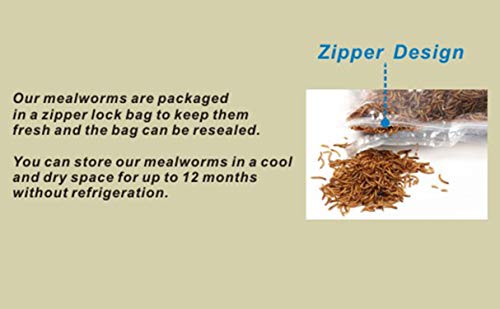 Non-GMO Dried Mealworms 6LB, 100% Natural Large Size No Moisture,Treats for Birds Chickens Hedgehog Hamster Fish Reptile Turtles (6lb) - size: 6 Pound (Pack of 1)