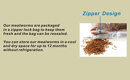 Non-GMO Dried Mealworms 6LB, 100% Natural Large Size No Moisture,Treats for Birds Chickens Hedgehog Hamster Fish Reptile Turtles (6lb) - size: 6 Pound (Pack of 1)