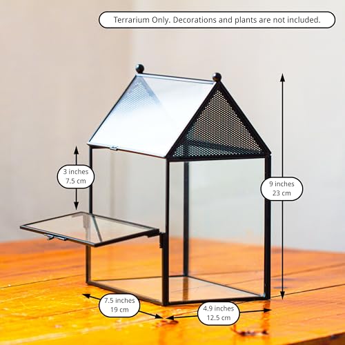 NCYP Glass Enclosure with Vent Holes for Small Insect, Jumping Spiders, Mantis - 7.5" x 4.9" x 9" Front Opening Door House Shape Vented Glass Terrarium, Home Decor Black (Terrarium Only) - size: 7.5" x 4.9" x 9"