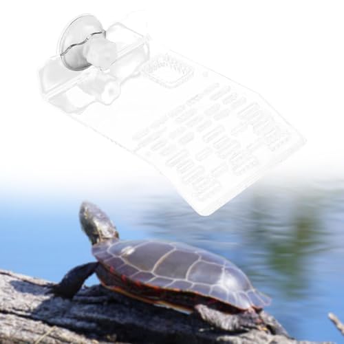 Reptile Resting Platform for Turtles with Suction Base for Aquatic Environments, Clear M - color: Clear M