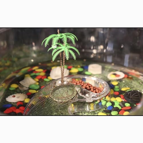OMEM Portable Reptile House Terrarium Habitat Clear and Breathable (Medium) - size: Medium