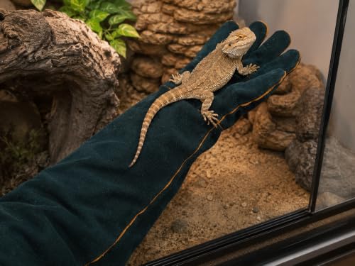 23.6 in Reptile Handling Gloves, Bite-Resistant Pair for Snakes & Lizards | Extended forearm protection