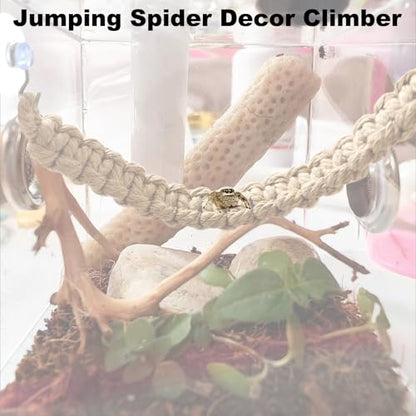 CYG&CL 2 Pack Jumping Spider Enclosure Climbing Toys, Hanging Jumping Spider Rope Bridge, Habitat Decor for Small Reptiles and Amphibians