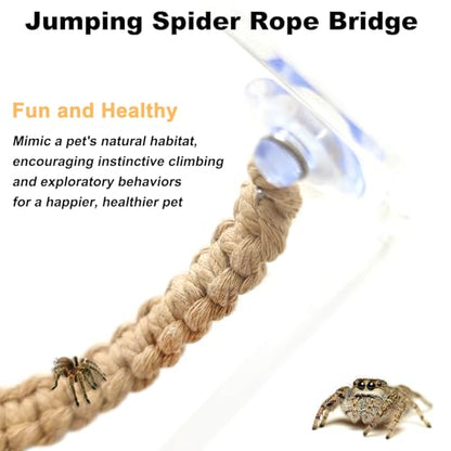CYG&CL 2 Pack Jumping Spider Enclosure Climbing Toys, Hanging Jumping Spider Rope Bridge, Habitat Decor for Small Reptiles and Amphibians
