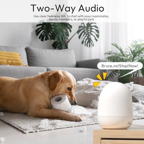 Rraycom 2.5K Indoor Security Camera, 5G/2.4G WiFi, Pet & Baby Monitor | 360° PTZ, Motion Detection & Tracking,Human/Motion/Sound Detection,2-Way Talk, Night Vision, Works/Alexa,SD/Cloud - size: 1Pack
