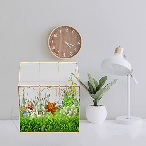 Geometric Plant Terrarium with Lid, House Succulent Terrarium Kit for Display, Air Plants, Succulents, Home Tabletop Miniature Terrarium, Not Airtight or Waterproof (Gold) - color: Gold